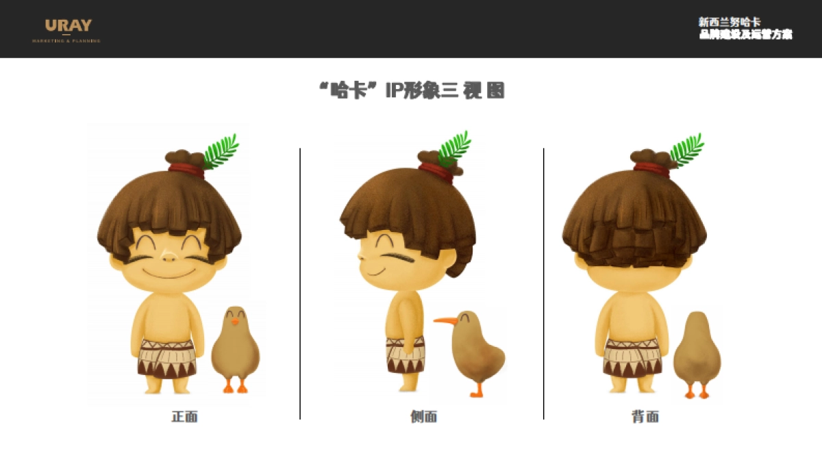 新西兰努哈卡儿童营养品品牌建设方案_第4页