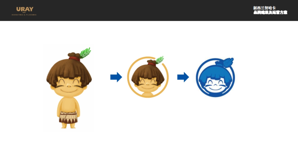 新西兰努哈卡儿童营养品品牌建设方案_第5页