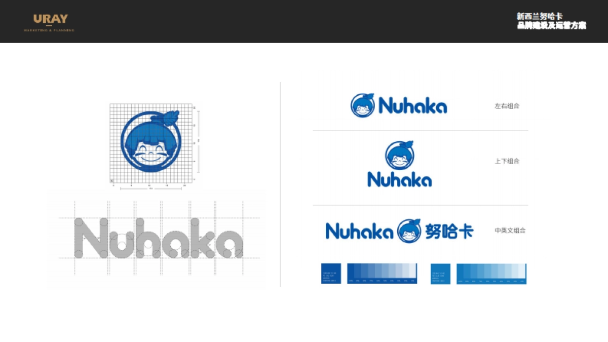 新西兰努哈卡儿童营养品品牌建设方案_第6页