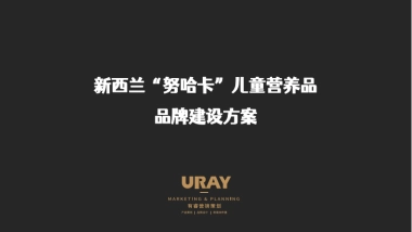 新西兰努哈卡儿童营养品品牌建设方案