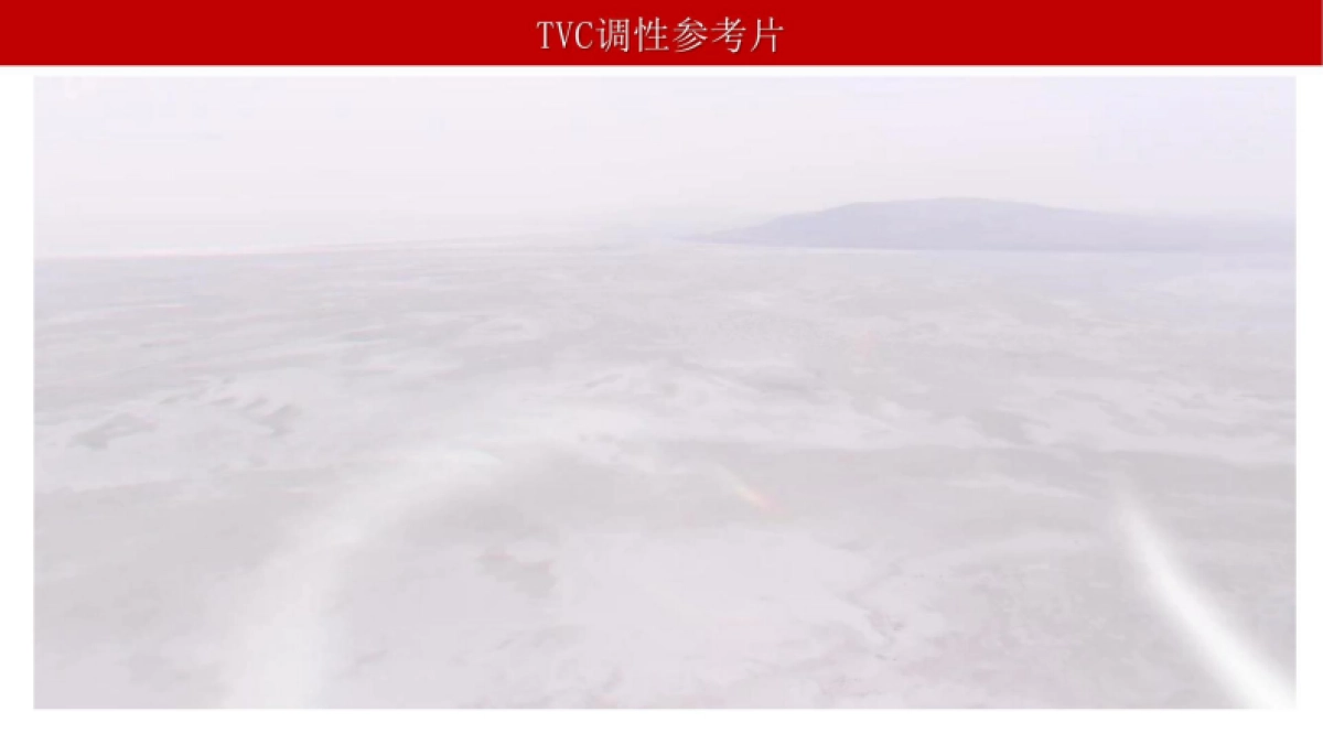 长城五星品牌TVC升级方案&品牌代言人资源推荐方案_第10页