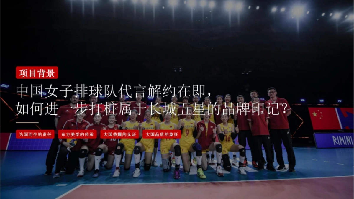 长城五星品牌TVC升级方案&品牌代言人资源推荐方案_第2页