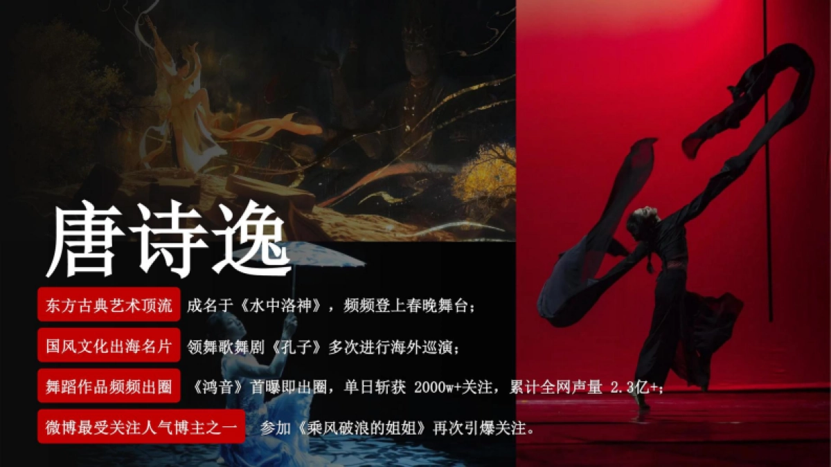 长城五星品牌TVC升级方案&品牌代言人资源推荐方案_第9页