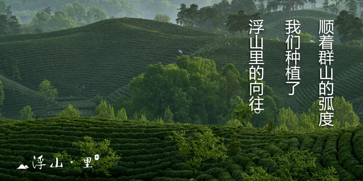 2025南方城市-乡镇文旅项目浮山·里改造建设规划方案_第2页