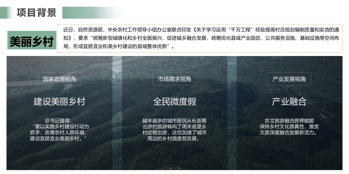 2025南方城市-乡镇文旅项目浮山·里改造建设规划方案_第6页