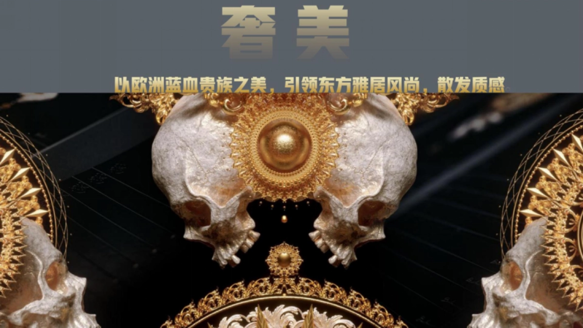 巴洛克风格艺术酒店设计方案_第4页