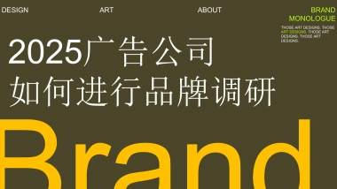 品牌调研策略通案