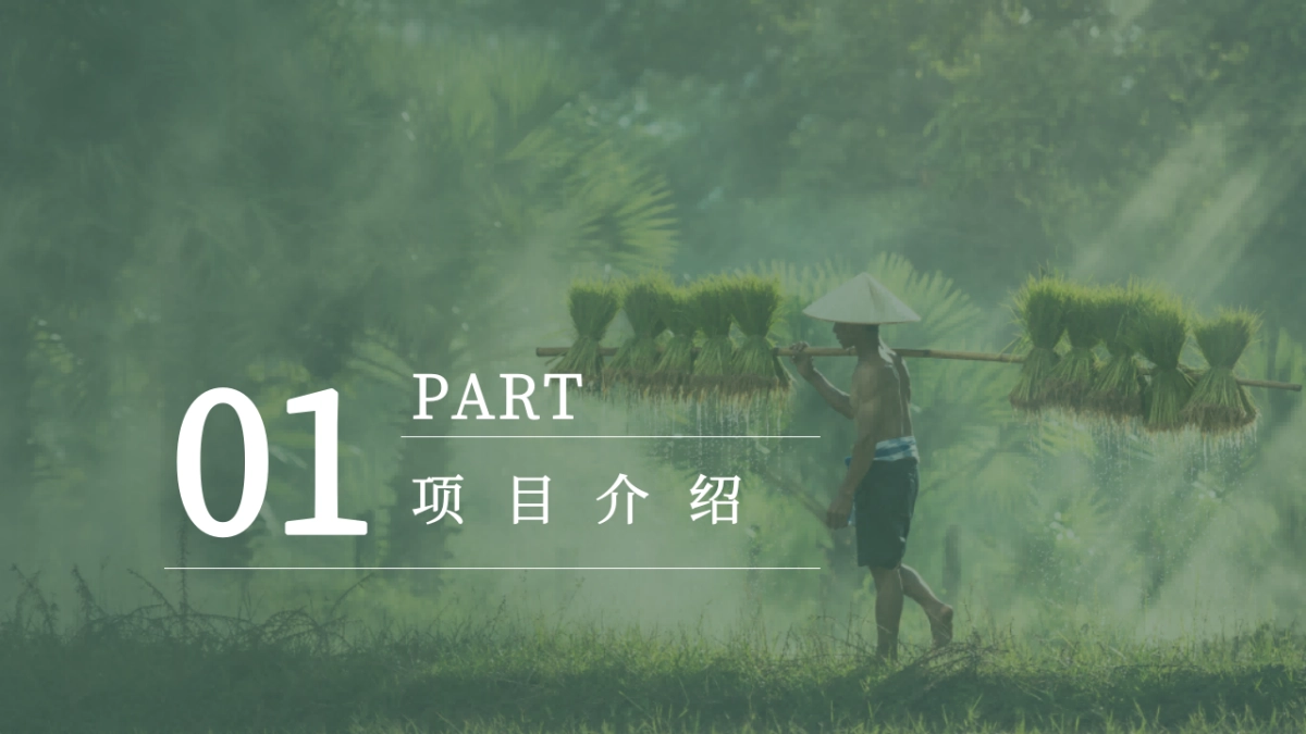 生态园区幸福文旅+运营思路方案「文旅+乡村振兴+亲子+活动+文创+婚庆+民宿+餐饮+农业+智慧景区」_第3页