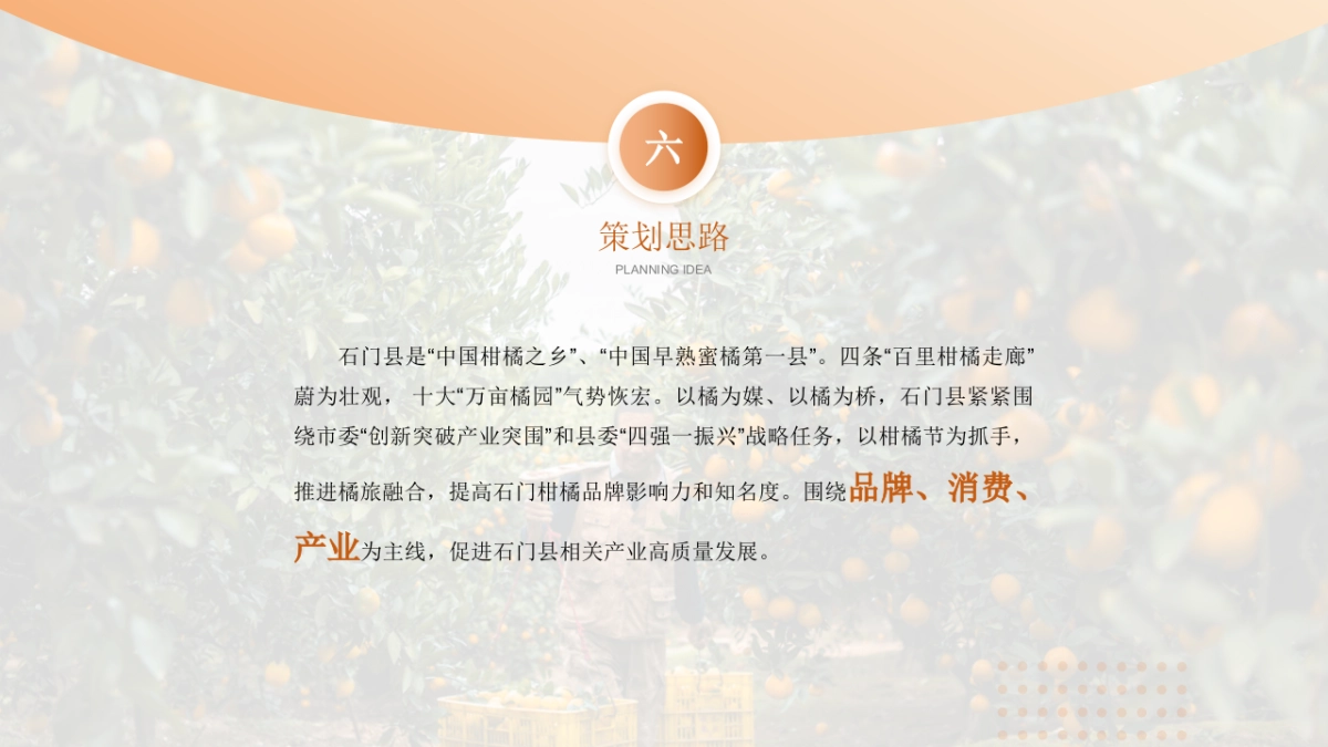 文旅景区柑橘节暨金秋消费季活动策划方案_第5页