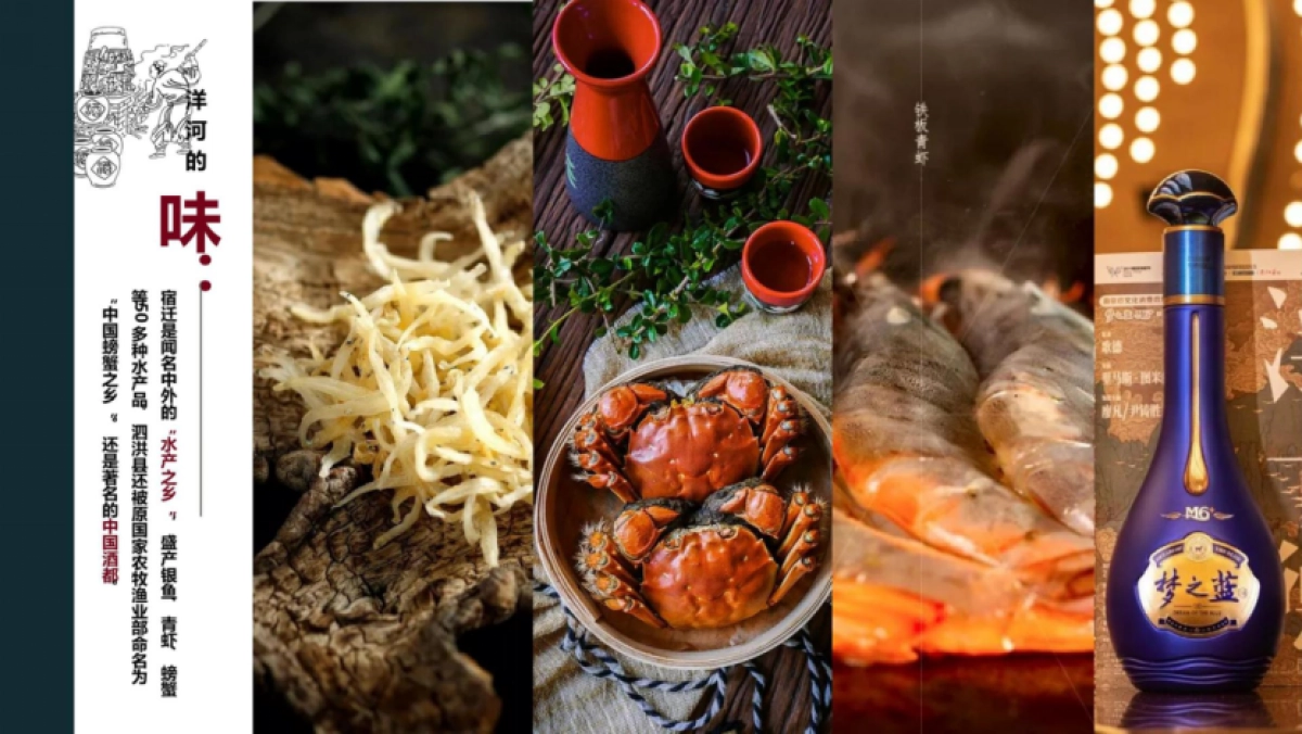 洋河品牌美食商业街区营销定位规划策划书_第8页