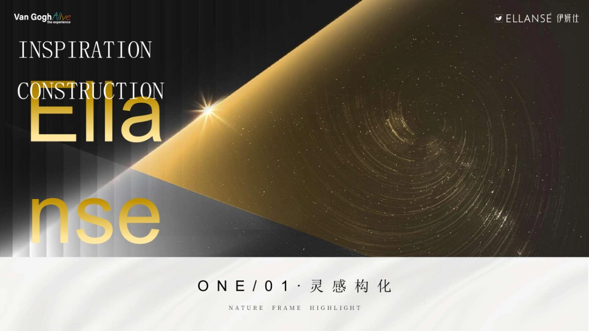 医美行业一周年艺术庆典暨梵高艺术IP展「仰望星空 感映自然轮廓主题」策划方案_第2页