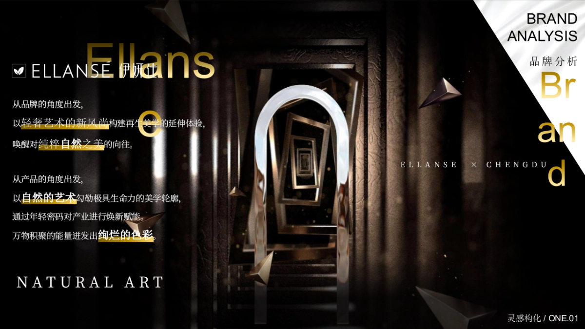 医美行业一周年艺术庆典暨梵高艺术IP展「仰望星空 感映自然轮廓主题」策划方案_第3页