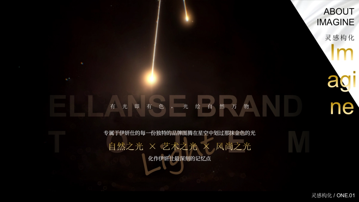 医美行业一周年艺术庆典暨梵高艺术IP展「仰望星空 感映自然轮廓主题」策划方案_第4页