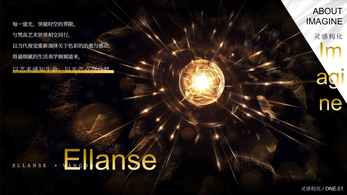 医美行业一周年艺术庆典暨梵高艺术IP展「仰望星空 感映自然轮廓主题」策划方案_第5页