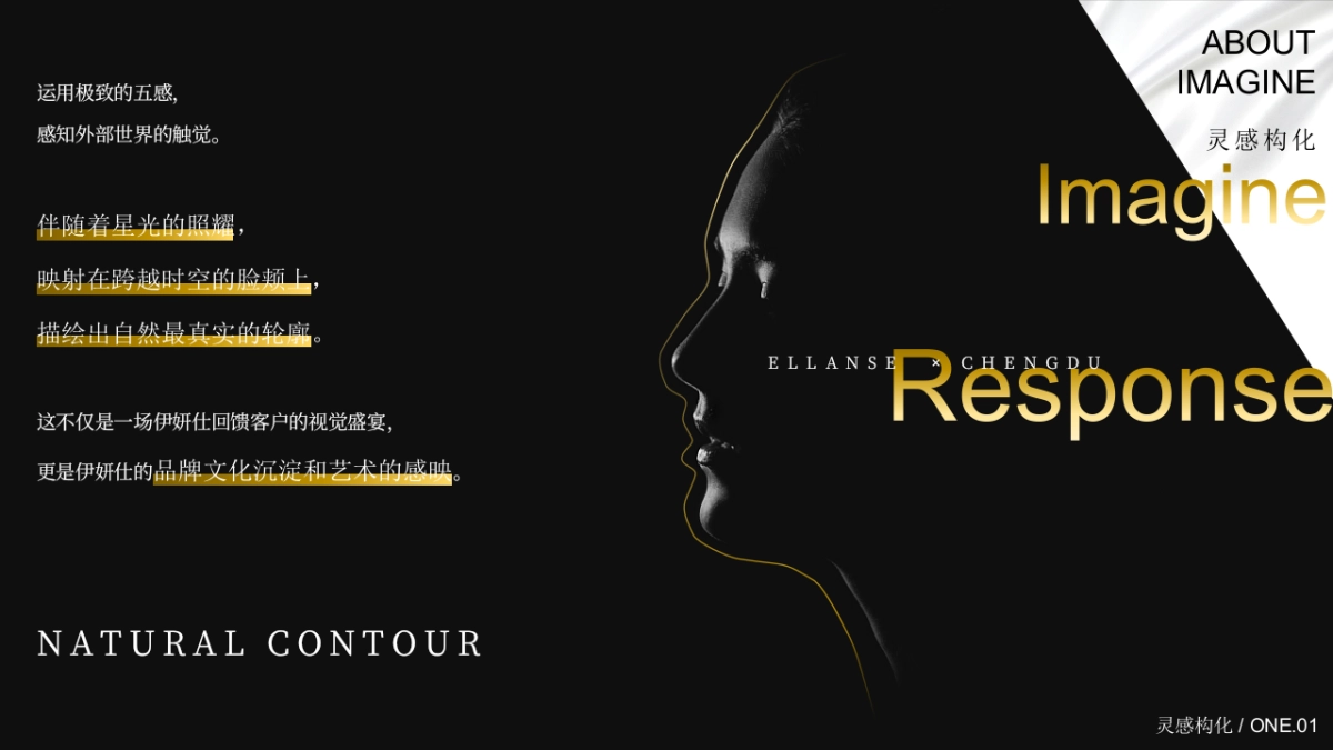 医美行业一周年艺术庆典暨梵高艺术IP展「仰望星空 感映自然轮廓主题」策划方案_第8页