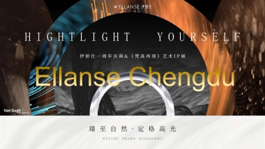 医美行业一周年艺术庆典暨梵高艺术IP展「仰望星空 感映自然轮廓主题」策划方案