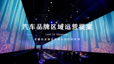 汽车品牌区域运营方案