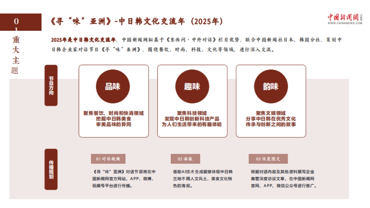 中国新闻网2025年项目招商方案_第10页