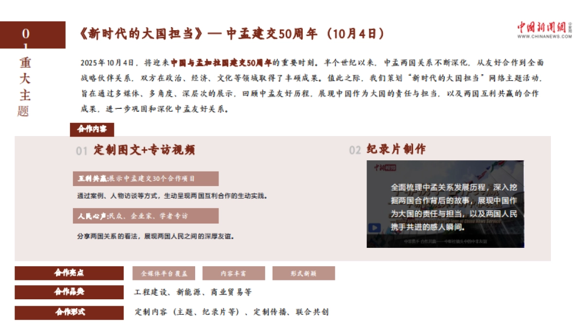 中国新闻网2025年项目招商方案_第7页