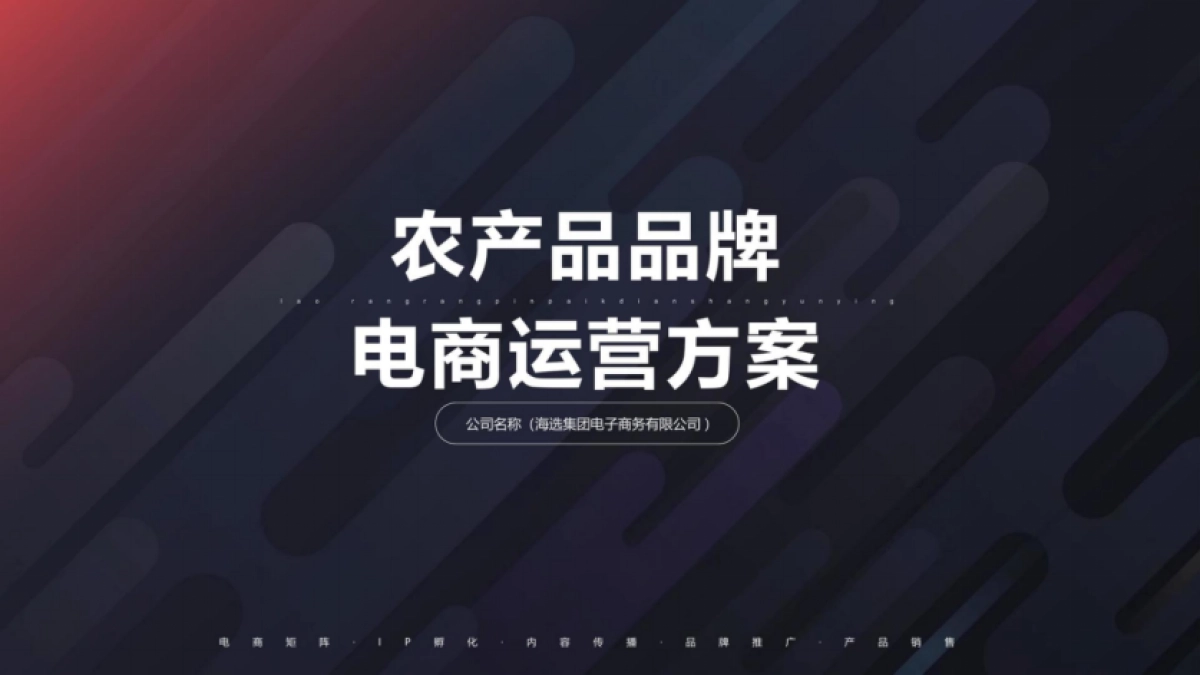 老孃孃农产品品牌电商运营全案_第1页