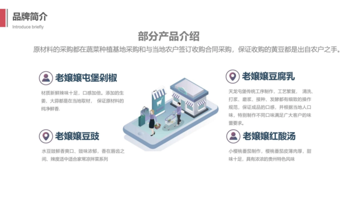 老孃孃农产品品牌电商运营全案_第5页