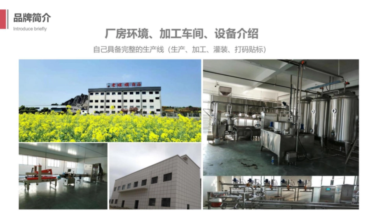 老孃孃农产品品牌电商运营全案_第6页