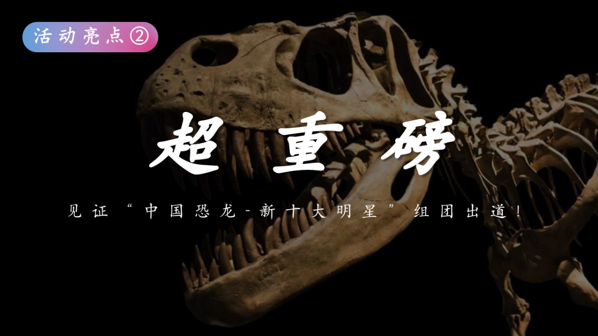 探秘恐龙星球文化节主题巡展展览活动策划案_第10页