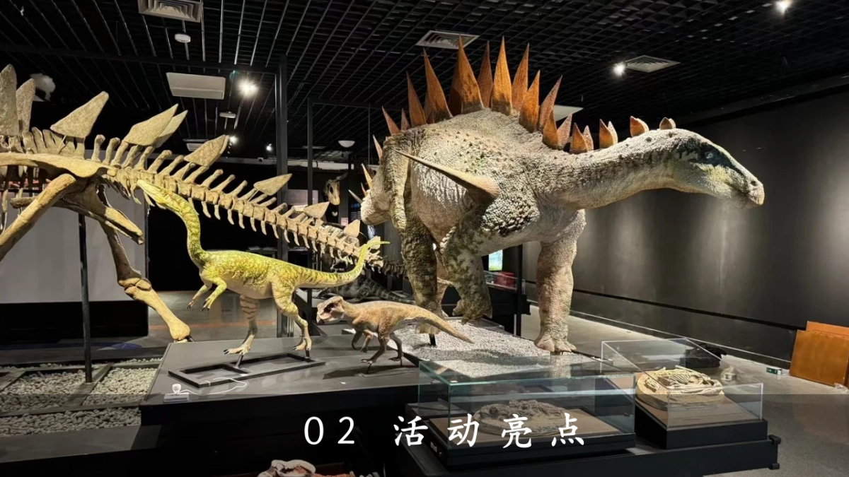 探秘恐龙星球文化节主题巡展展览活动策划案_第8页