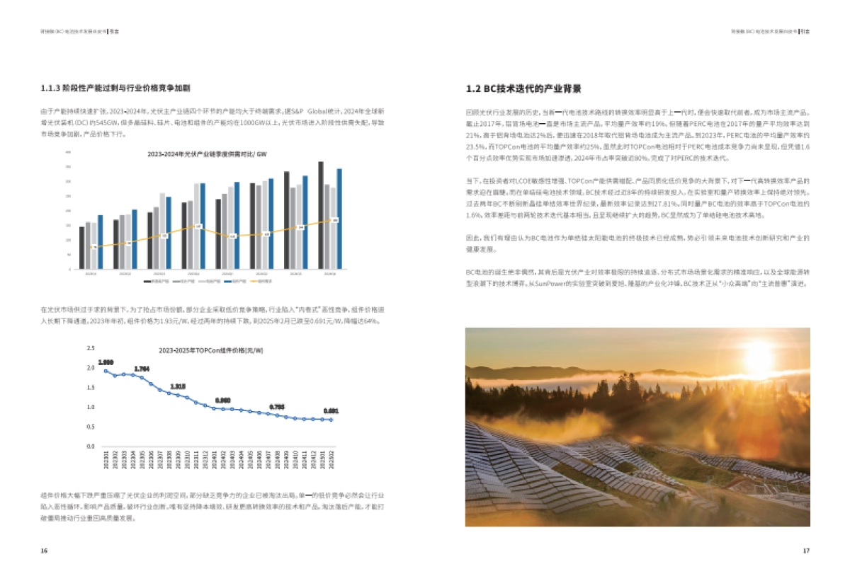 2025年背接触（BC）电池技术发展白皮书_第10页