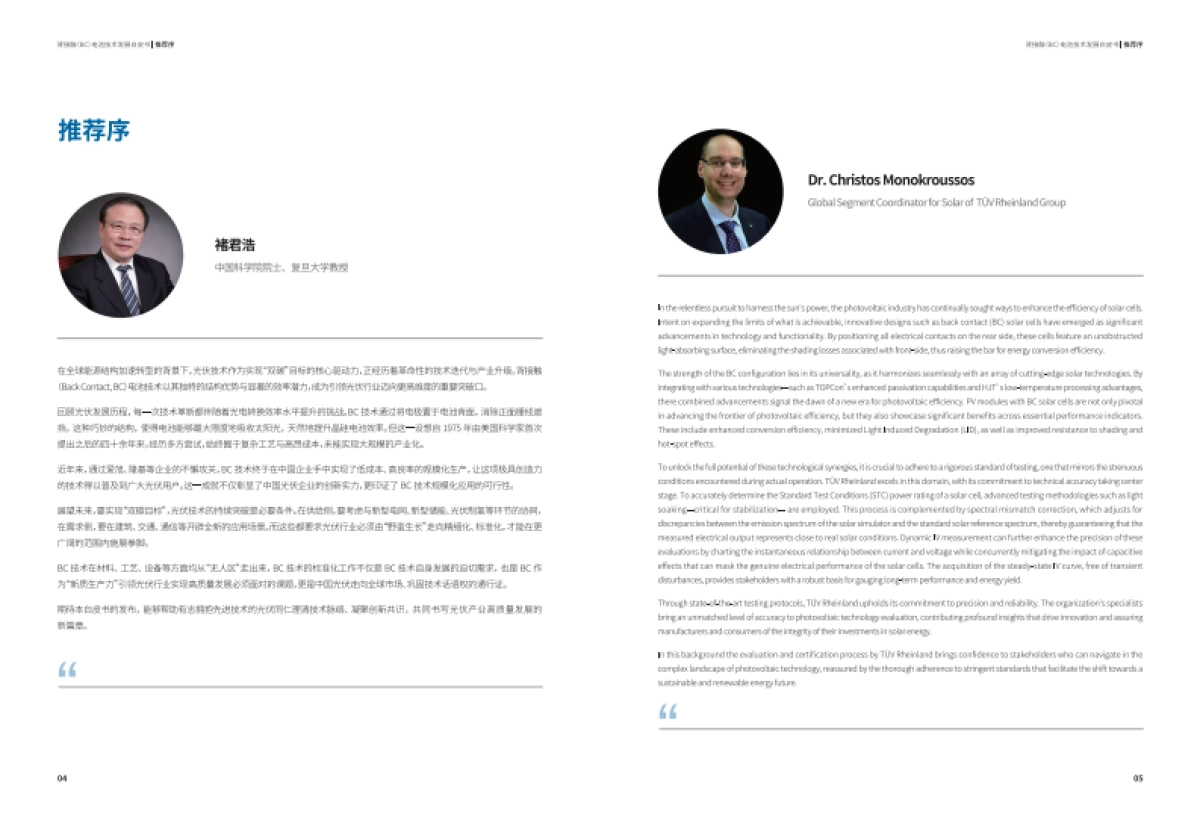 2025年背接触（BC）电池技术发展白皮书_第4页