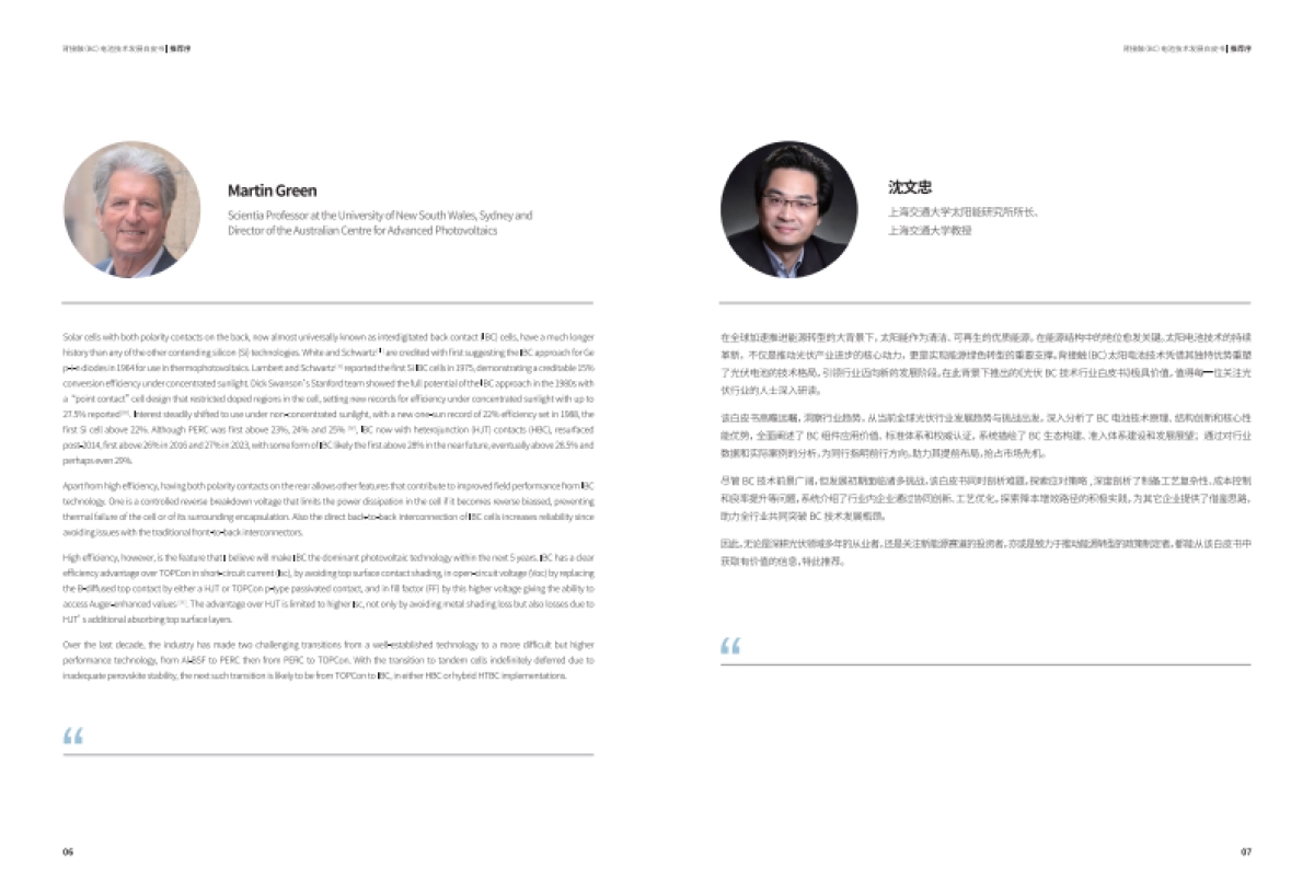 2025年背接触（BC）电池技术发展白皮书_第5页