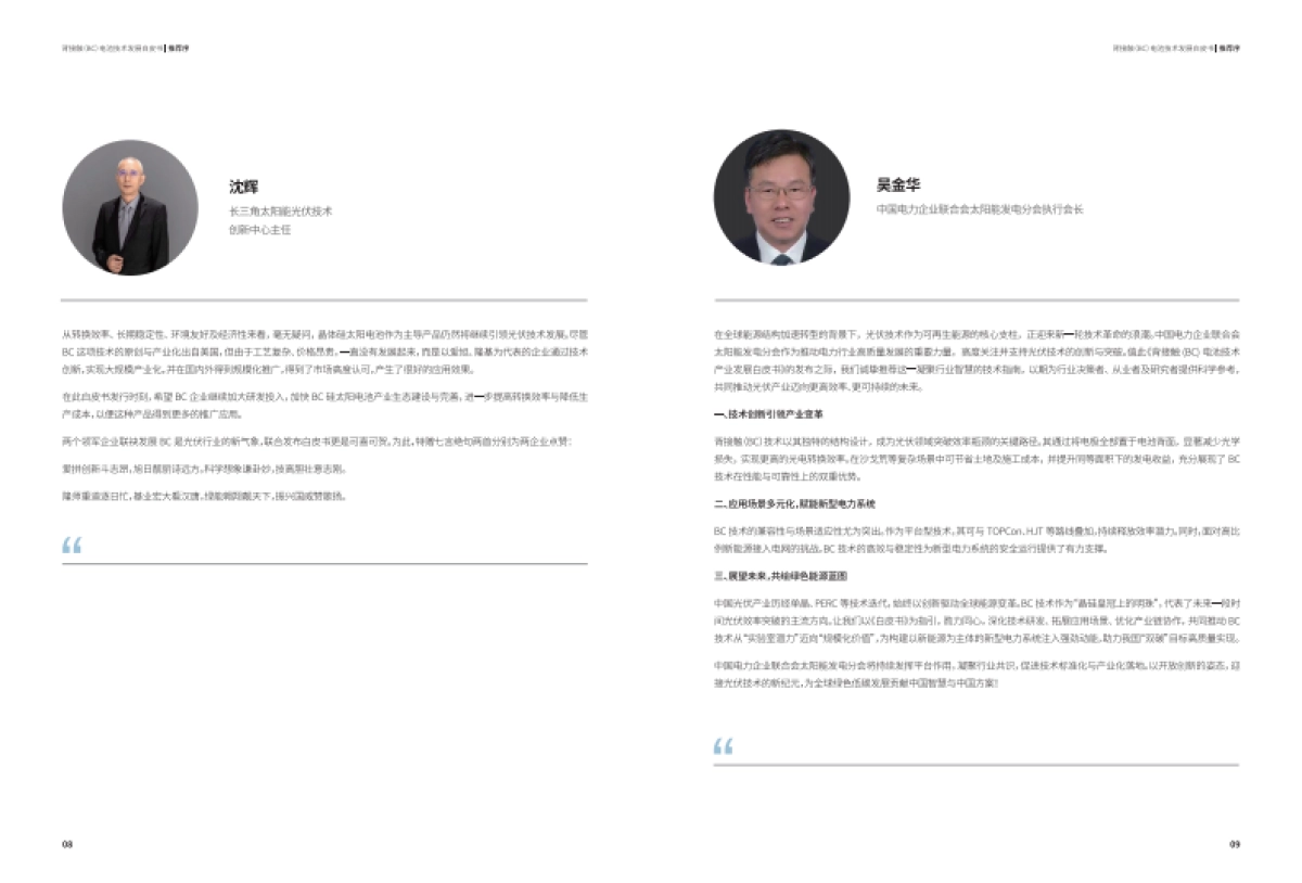 2025年背接触（BC）电池技术发展白皮书_第6页