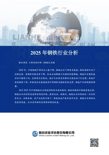 2025年钢铁行业分析