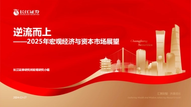 2025年宏观经济与资本市场展望_逆流而上
