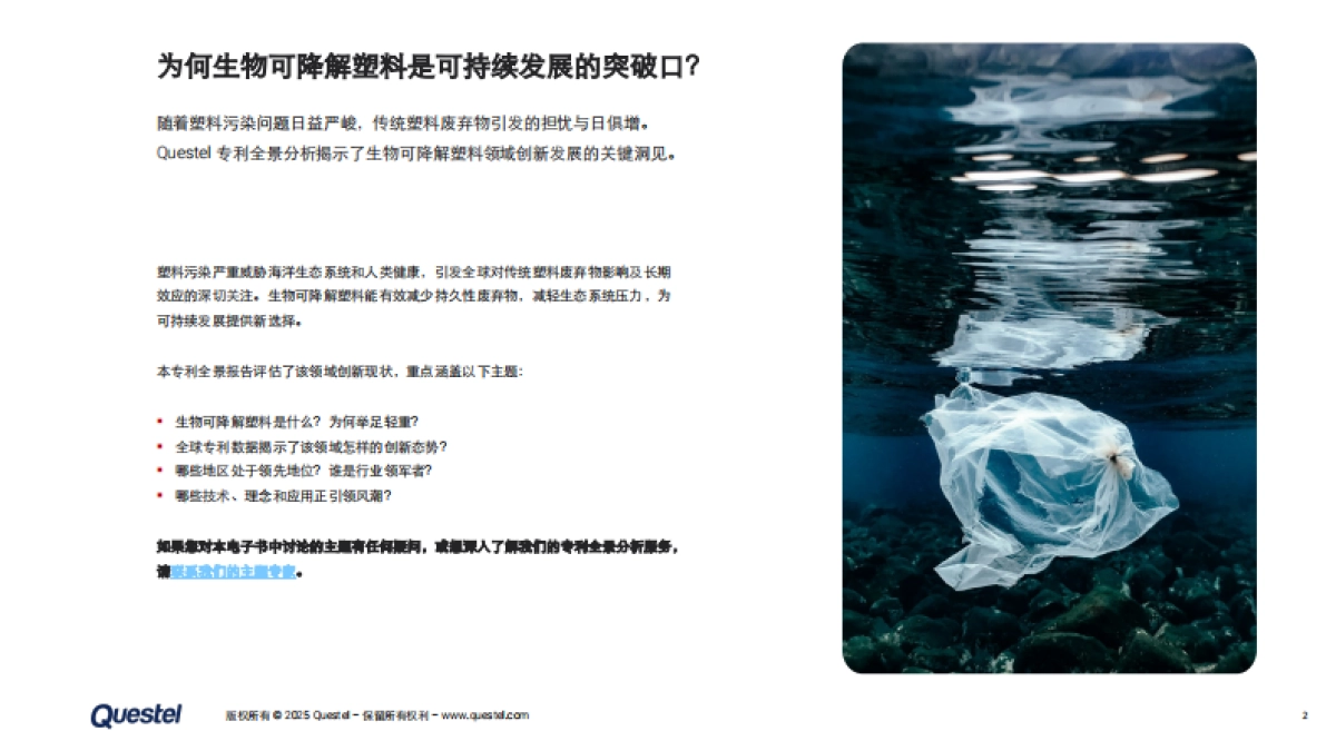 2025年生物可降解塑料专利全景：技术创新、地域竞争与可持续发展路径报告_第2页
