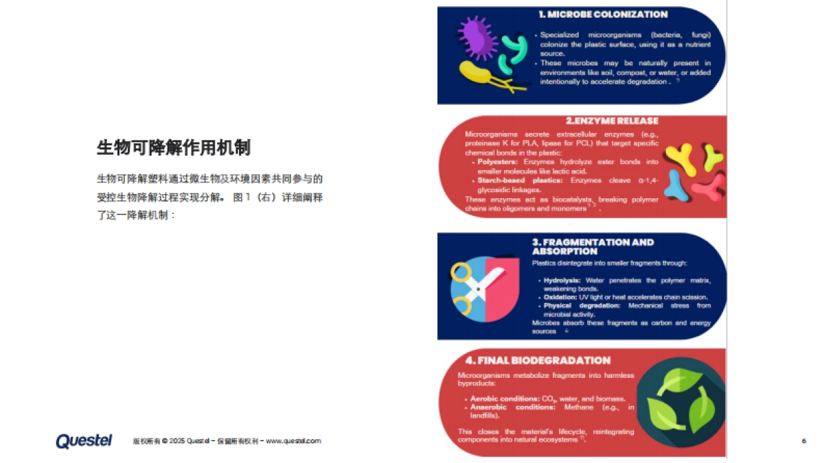 2025年生物可降解塑料专利全景：技术创新、地域竞争与可持续发展路径报告_第6页