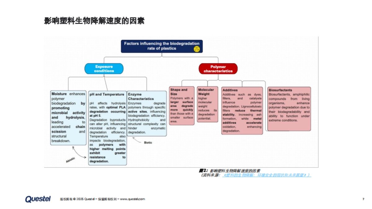 2025年生物可降解塑料专利全景：技术创新、地域竞争与可持续发展路径报告_第7页