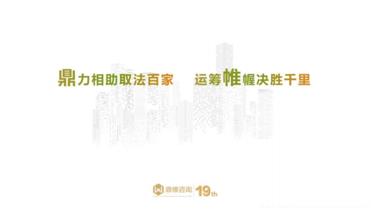 2025年小米汽车高端人才组建战略与实施路径研究报告_第10页