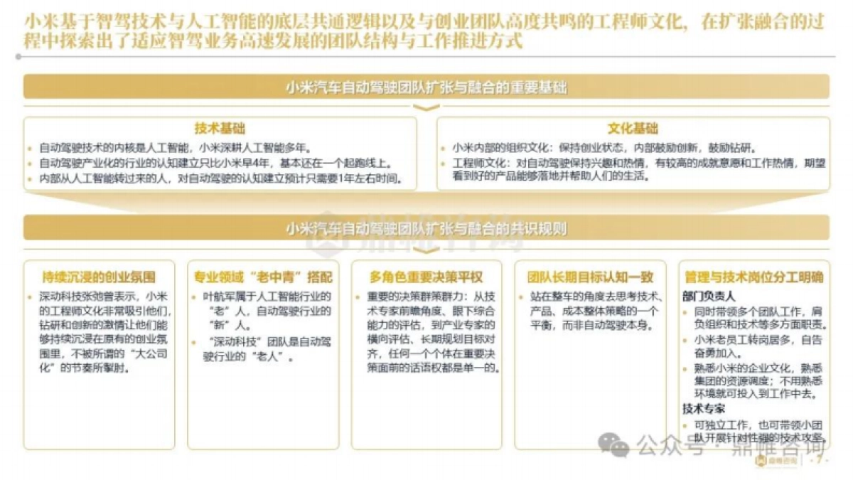 2025年小米汽车高端人才组建战略与实施路径研究报告_第7页