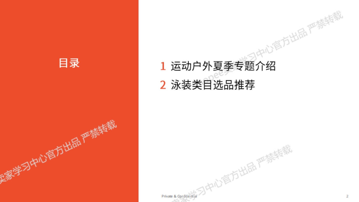 2025年运动户外夏季玩水专题泳装类目选品指南_第2页