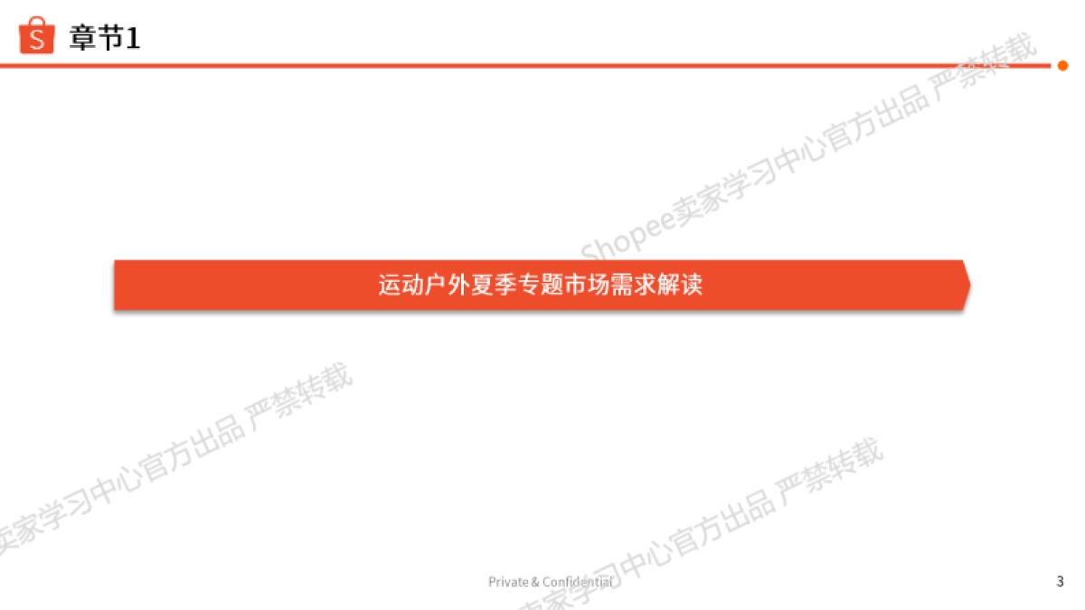 2025年运动户外夏季玩水专题泳装类目选品指南_第3页