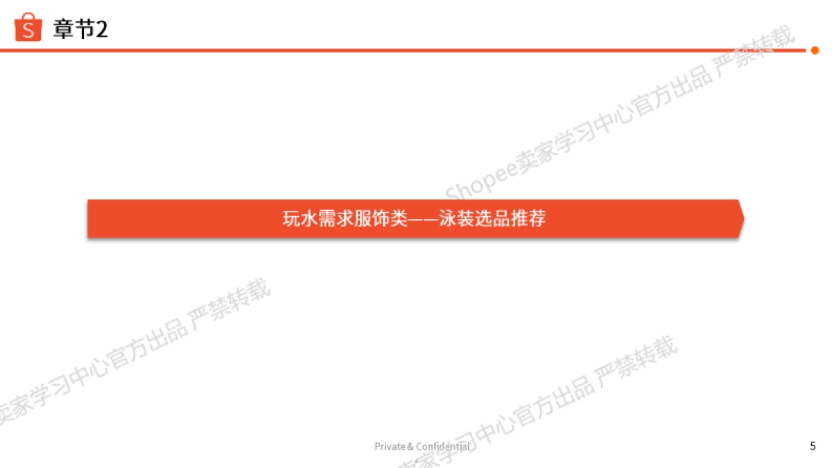 2025年运动户外夏季玩水专题泳装类目选品指南_第5页