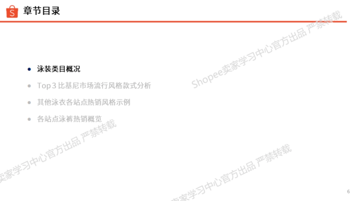 2025年运动户外夏季玩水专题泳装类目选品指南_第6页