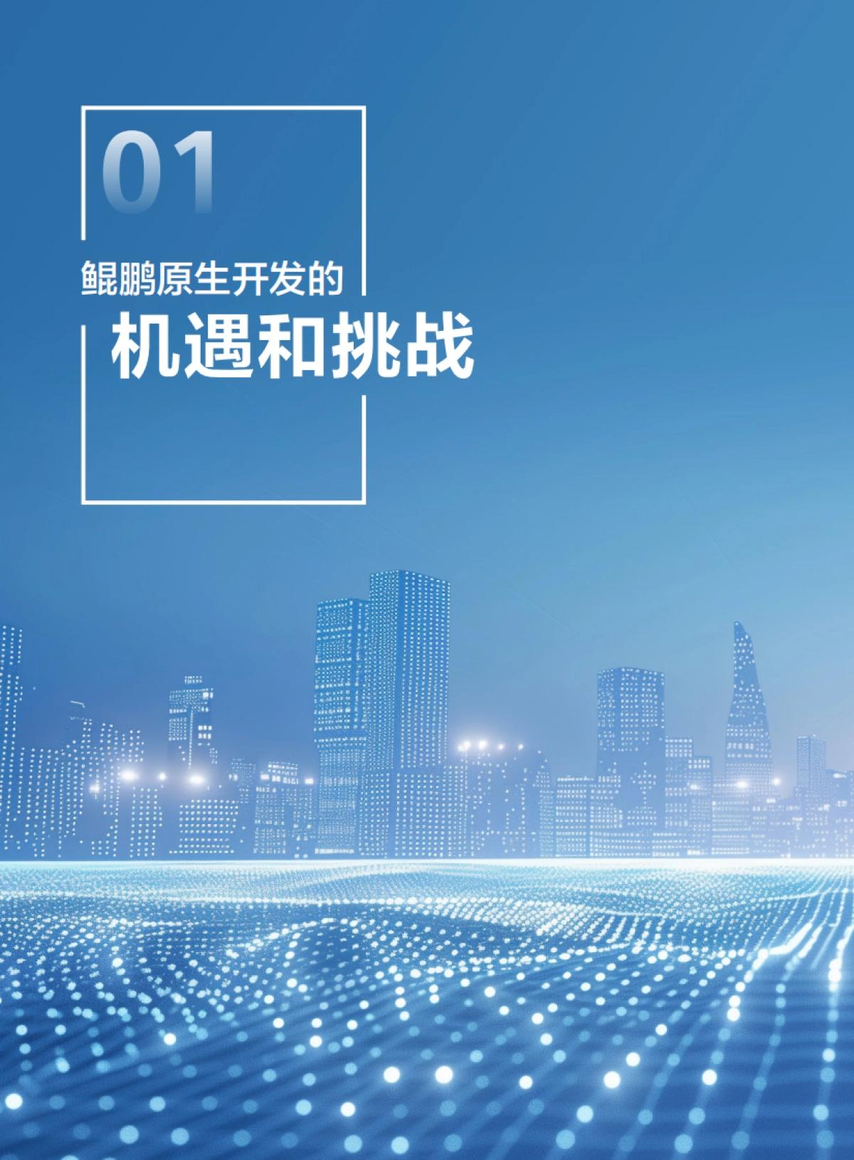 鲲鹏原生开发技术白皮书(6.0修订版)_第4页