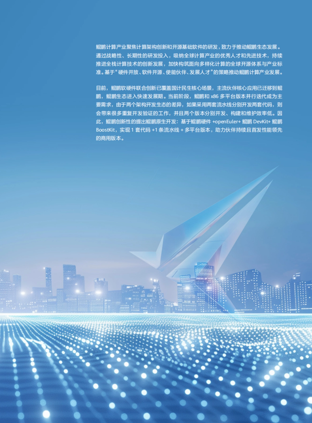 鲲鹏原生开发技术白皮书(6.0修订版)_第5页