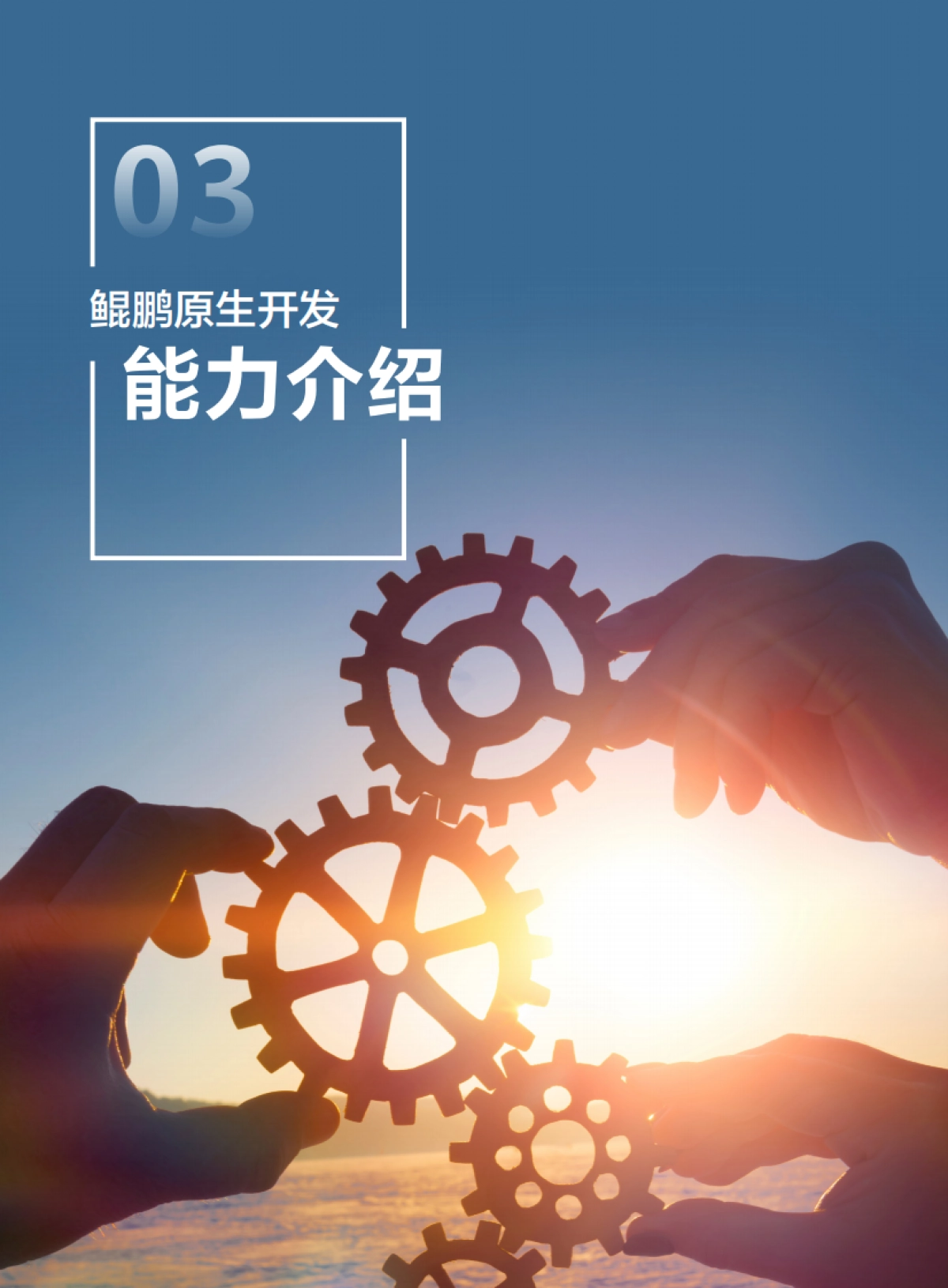 鲲鹏原生开发技术白皮书(6.0修订版)_第8页