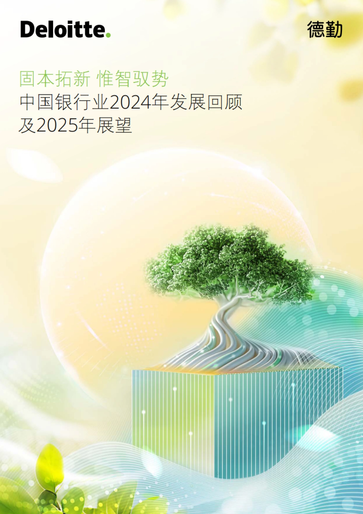 中国银行业2024年发展回顾及2025年展望报告_第1页