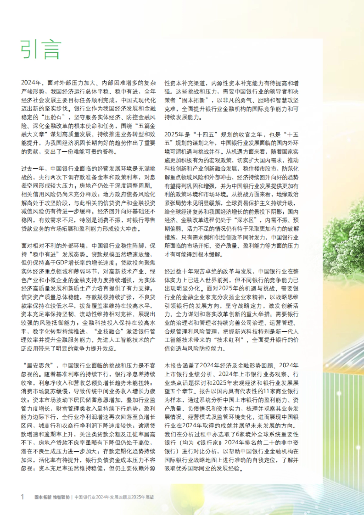 中国银行业2024年发展回顾及2025年展望报告_第4页