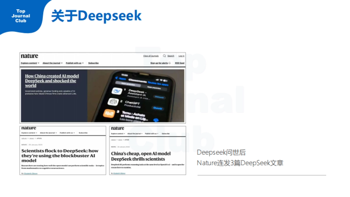 2025年DeepSeek快速入门指北(医生版)_第2页