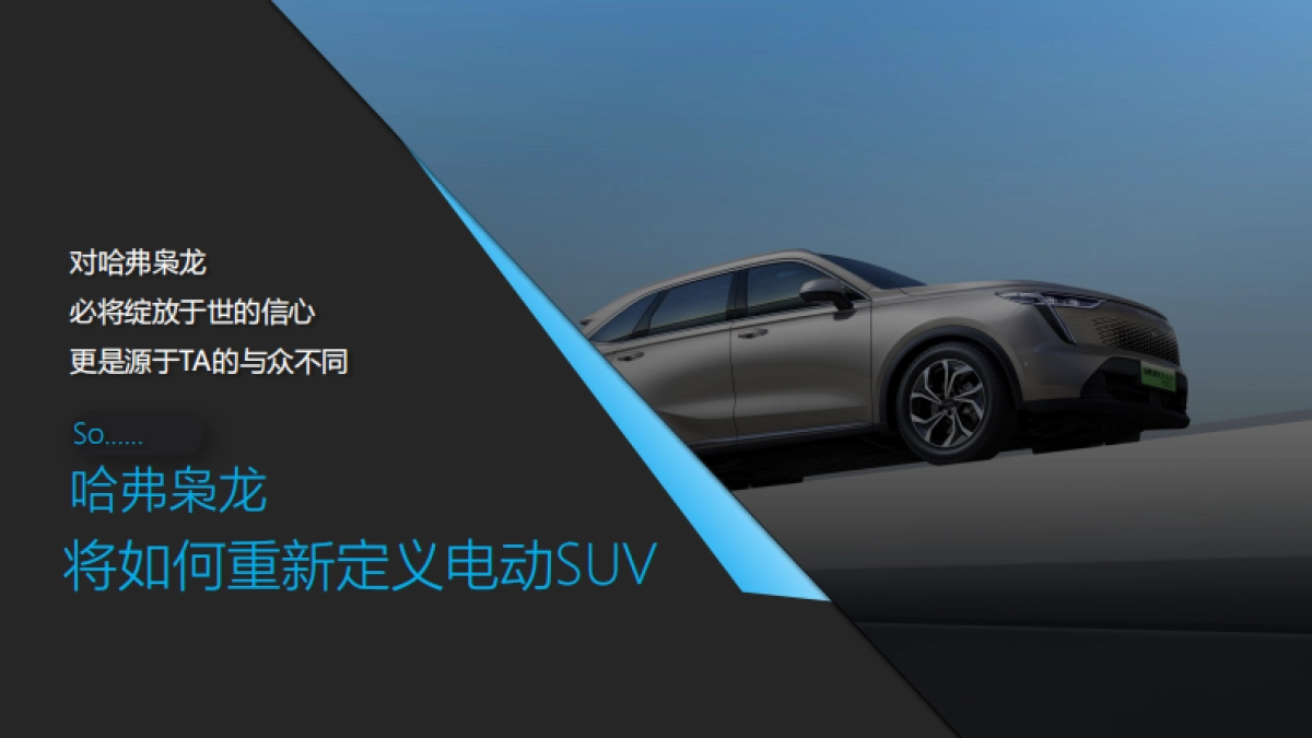 哈弗汽车品牌区域营销年度推广策划方案_第6页